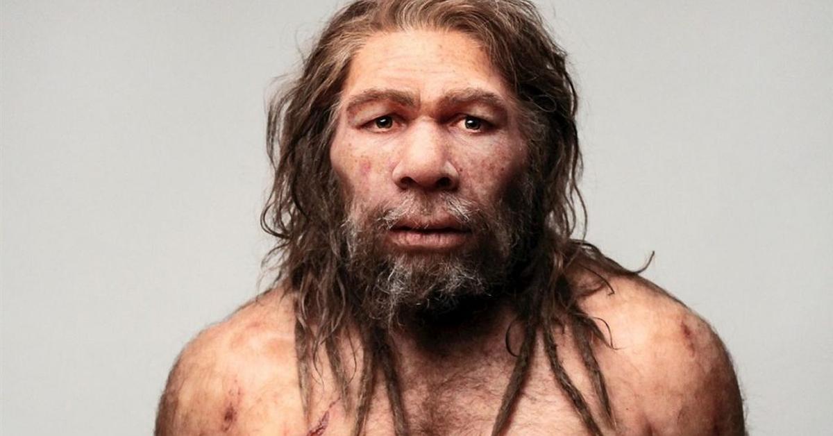 Glimpse of the Neanderthal, known in the scientific community as Homo Sapiens Neanderthalensis.