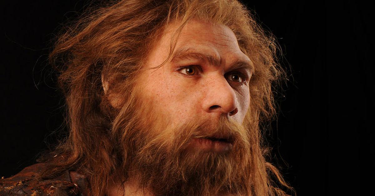 Visual of Neanderthal, or Neanderthal in Indonesian, showcasing its beauty.