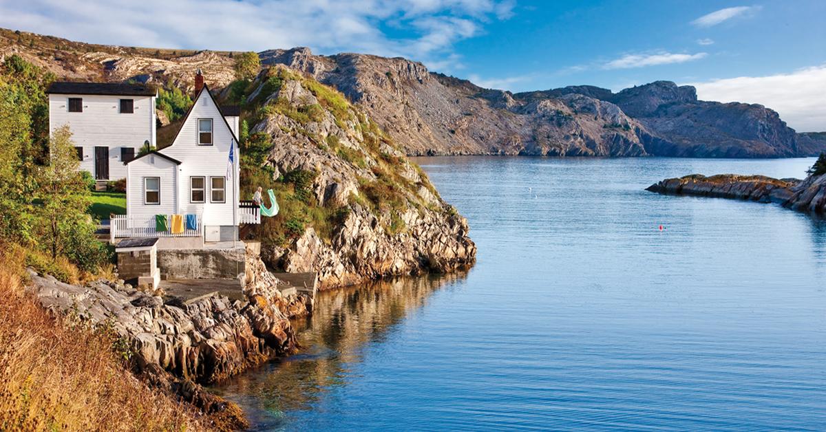 Engaging shot of the Newfoundland, recognized in Indonesia as Newfoundland.