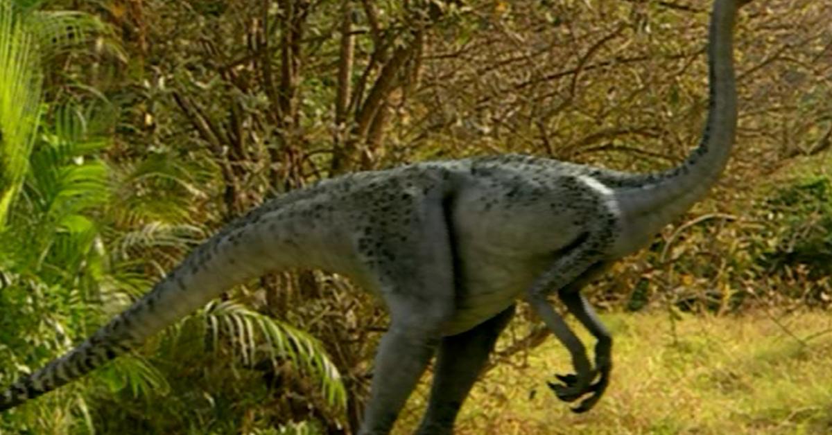 Captured beauty of the Ornithomimus, or Ornithomimus in the scientific world.