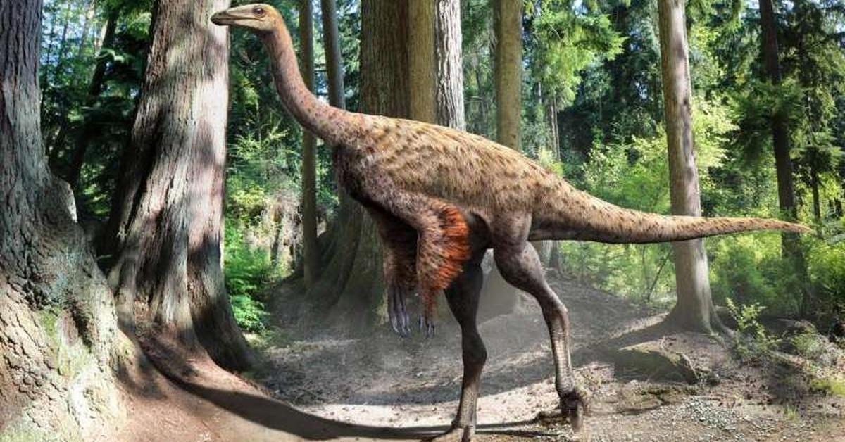 Dynamic image of the Ornithomimus, popularly known in Indonesia as Ornithomimus.