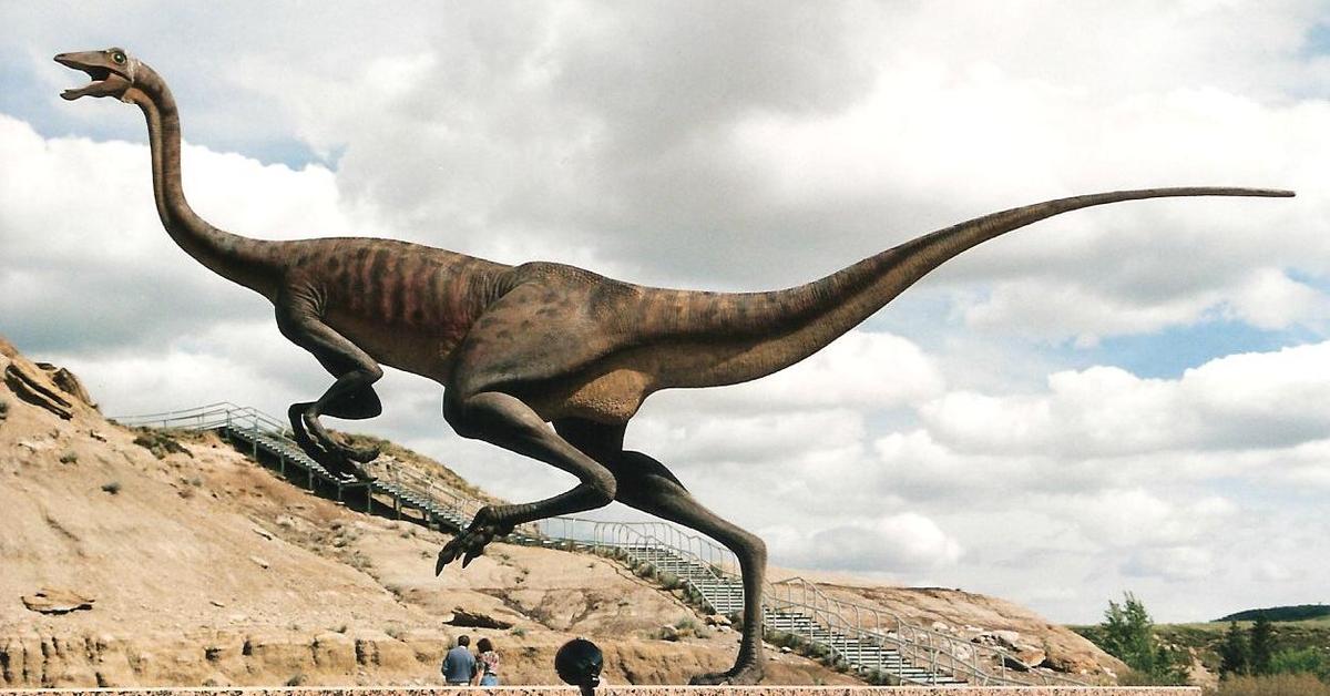 The Ornithomimus, an example of Ornithomimus, in its natural environment.