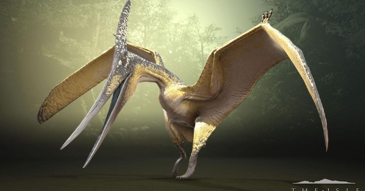 Visual representation of the Pteranodon, recognized in Indonesia as Pteranodon.