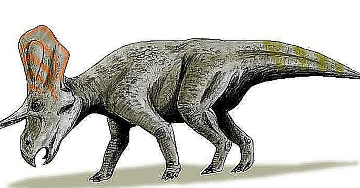 The Psittacosaurus, an example of Psittacosaurus, in its natural environment.