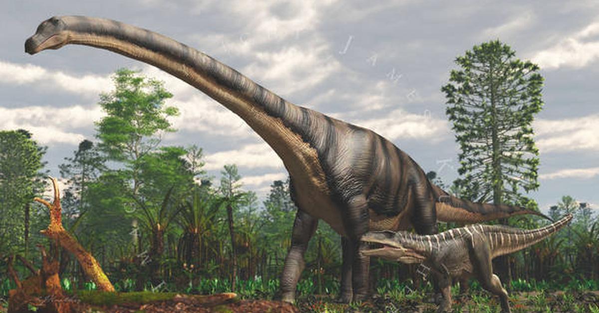 Striking appearance of the Patagotitan, known in scientific circles as Patagotitan.