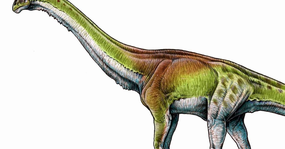 Captured elegance of the Patagotitan, known in Indonesia as Patagotitan.