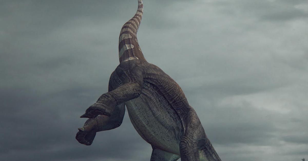 Photographic depiction of the unique Puertasaurus, locally called Puertasaurus.