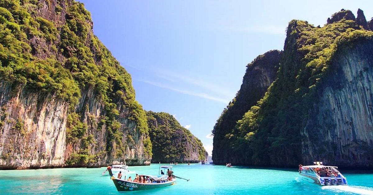 Vibrant snapshot of the Pacific Coast Tick, commonly referred to as Kutu Pantai Pasifik in Indonesia.