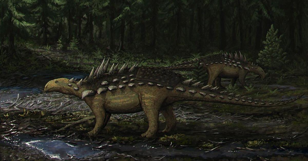 Distinctive Polacanthus, in Indonesia known as Polacanthus, captured in this image.