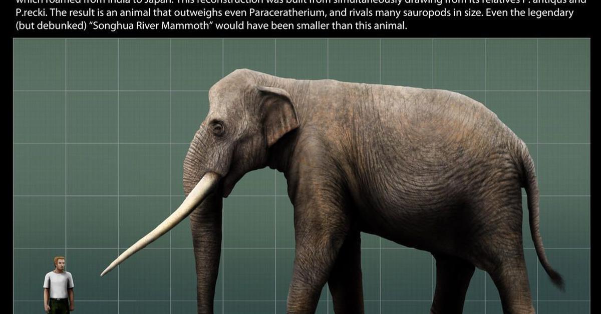 The Palaeoloxodon Namadicus, a beautiful species also known as Palaeoloxodon Namadicus in Bahasa Indonesia.