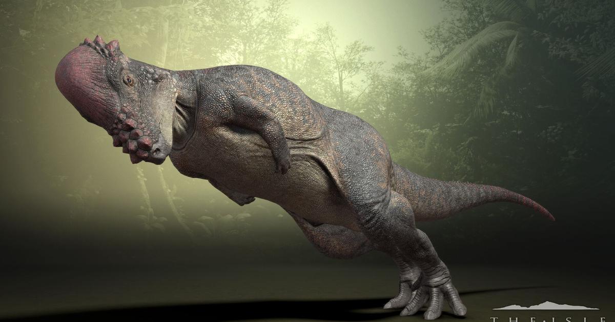 The Pachycephalosaurus, an example of Pachycephalosaurus wyomingensis, in its natural environment.