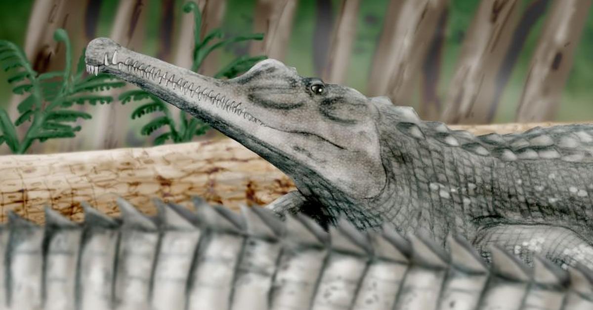 The Phytosaurs, an example of Phytosauria, in its natural environment.