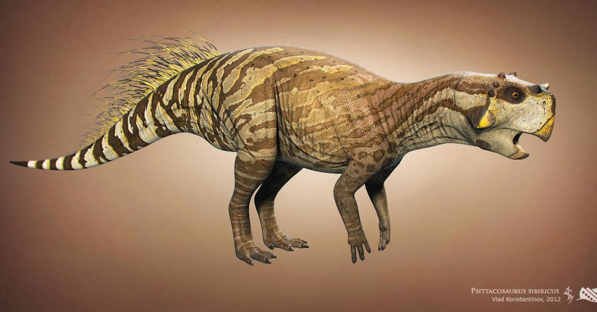 Elegant portrayal of the Psittacosaurus, also known as Psittacosaurus.