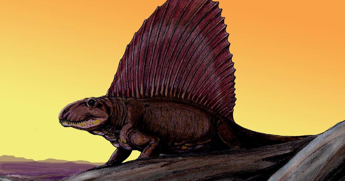 Elegant portrayal of the Pelycosaurs, also known as Pelycosauria.