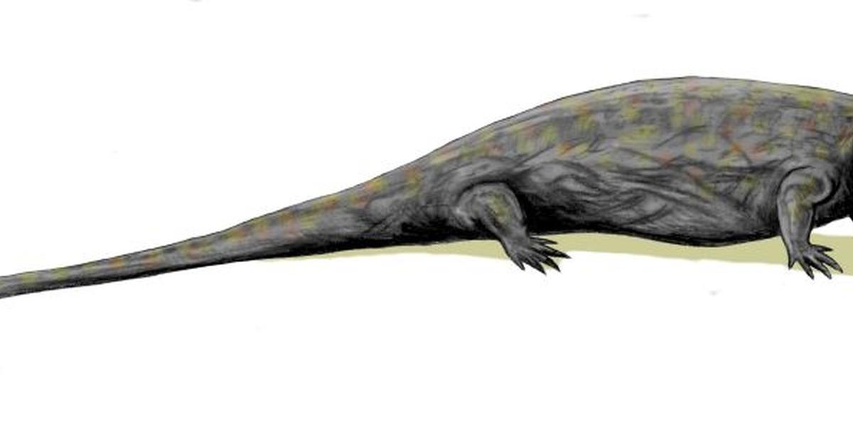 Distinctive Pelycosaurs, in Indonesia known as Pelycosauria, captured in this image.