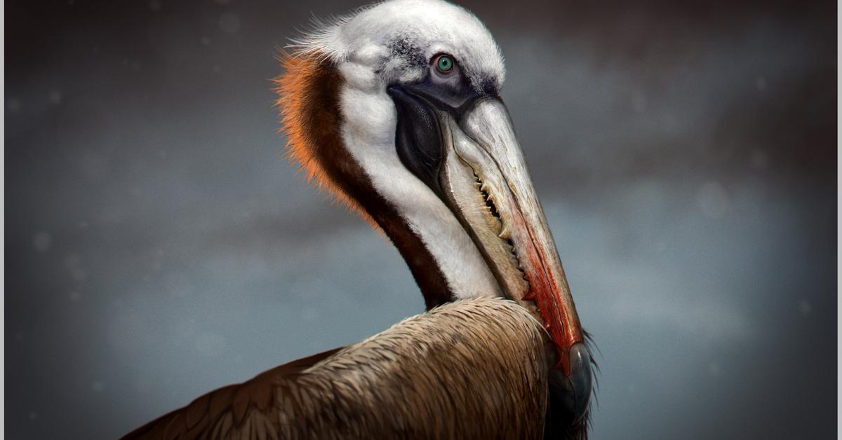 Photogenic Pelagornis, scientifically referred to as Pelagornis.