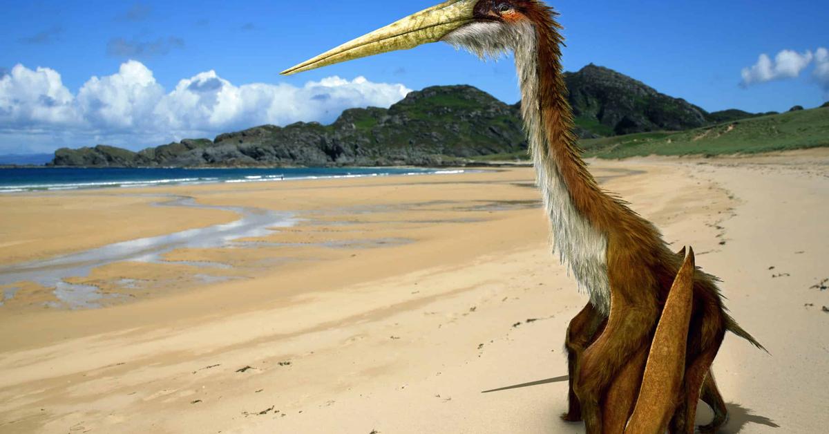 Striking appearance of the Quetzalcoatlus Northropi, known in scientific circles as Quetzalcoatlus northropi.