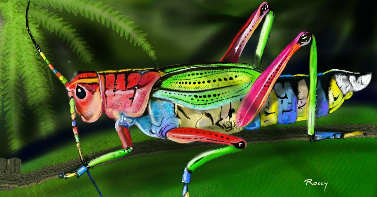 Natural elegance of the Rainbow Grasshopper, scientifically termed Dactylotum bicolor.