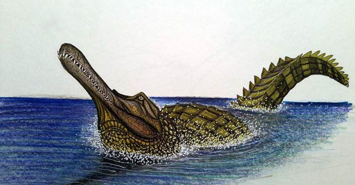 Captured moment of the Rhamphosuchus, in Indonesia known as Rhamphosuchus.