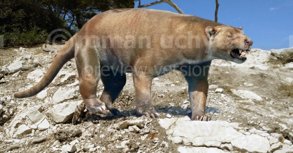 Splendid image of the Sarkastodon, with the scientific name S. henanensis.