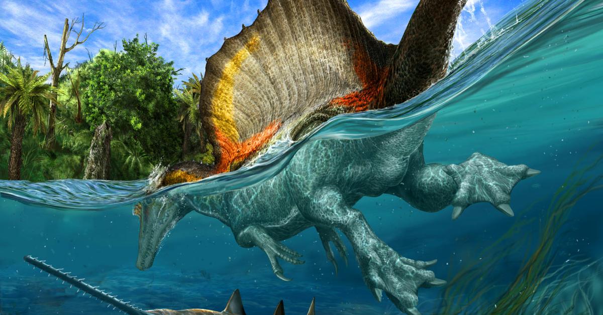 A look at the Spinosaurus, also recognized as Spinosaurus in Indonesian culture.