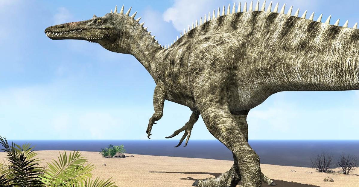 The Suchomimus, a beautiful species also known as Suchomimus in Bahasa Indonesia.