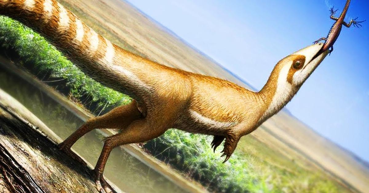 Visual representation of the Sinosauropteryx, recognized in Indonesia as Sinosauropteryx.