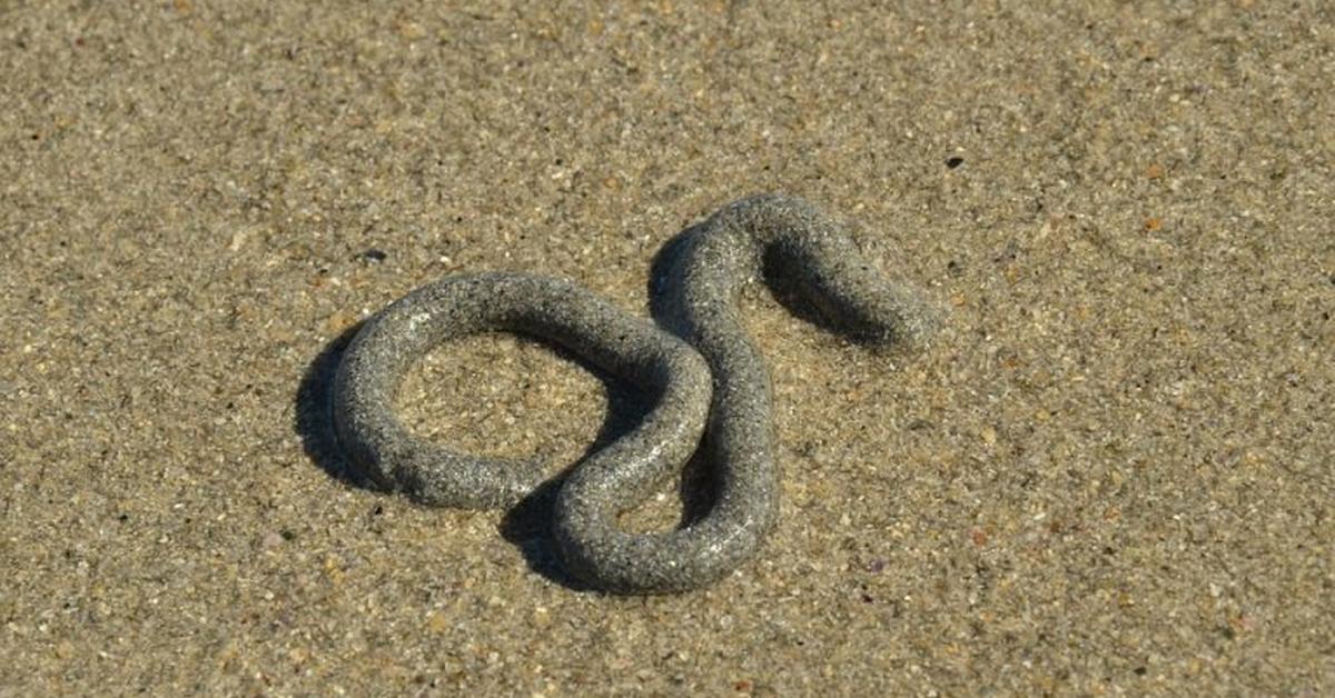 Unique portrayal of the Sandworm, also called Cacing Pasir in Bahasa Indonesia.