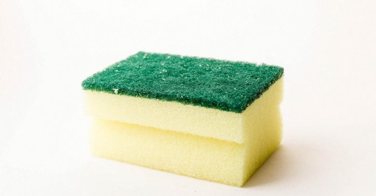 Visual representation of the Sponge, recognized in Indonesia as Spons.