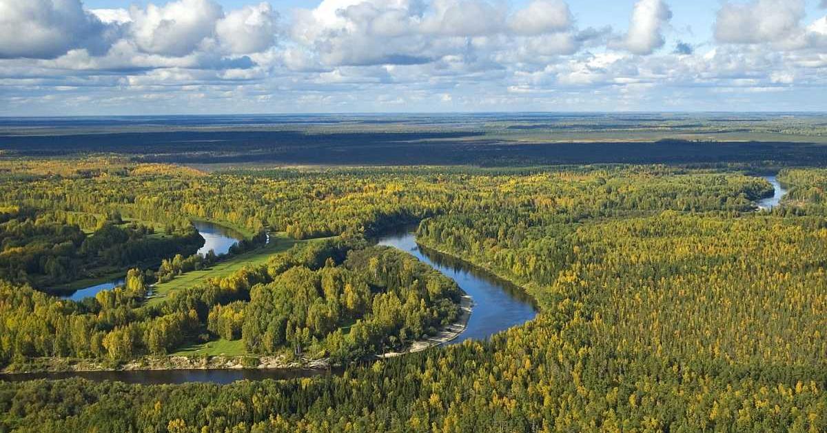 Vibrant snapshot of the Siberian, commonly referred to as Siberia in Indonesia.