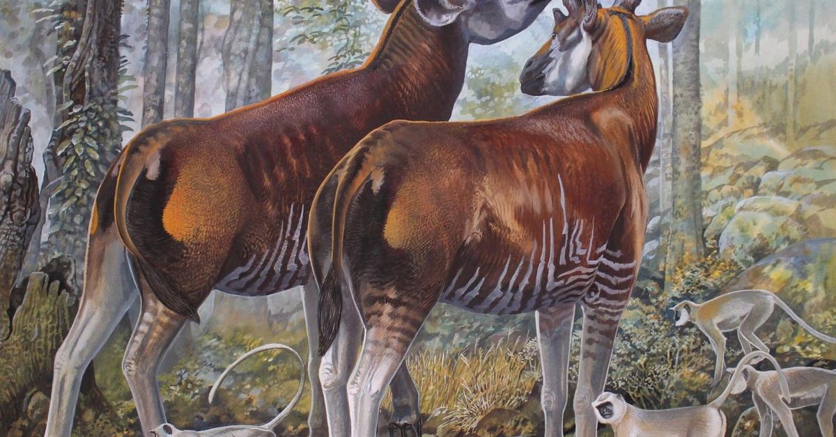 The fascinating Sivatherium, scientifically known as Sivatherium giganteum.