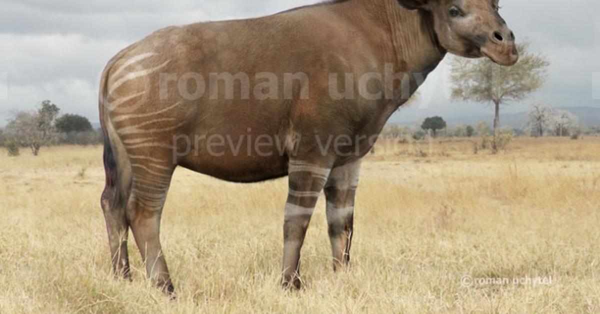 Close-up view of the Sivatherium, known as Sivatherium in Indonesian.