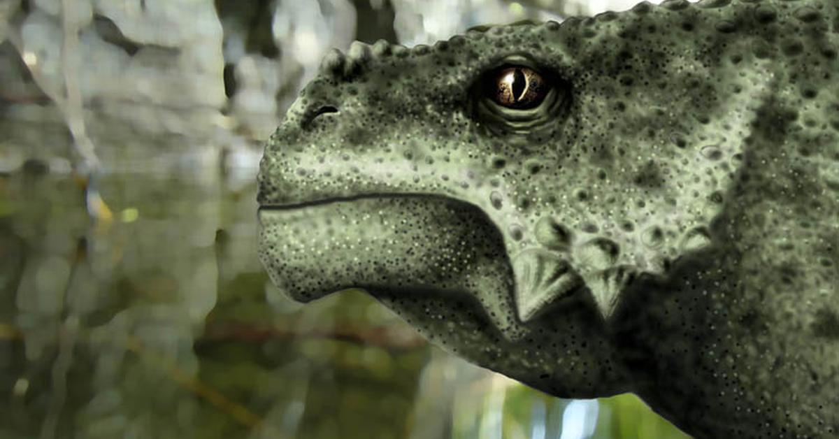 Glimpse of the Scutosaurus, known in the scientific community as Scutosaurus karpinskii.