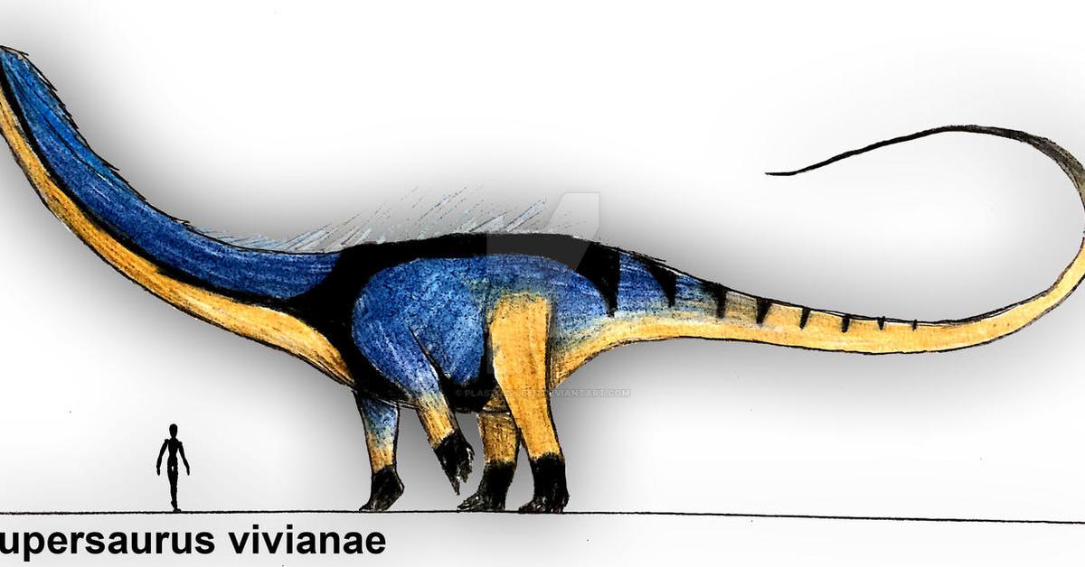 Elegant portrayal of the Supersaurus, also known as Supersaurus vivianae.