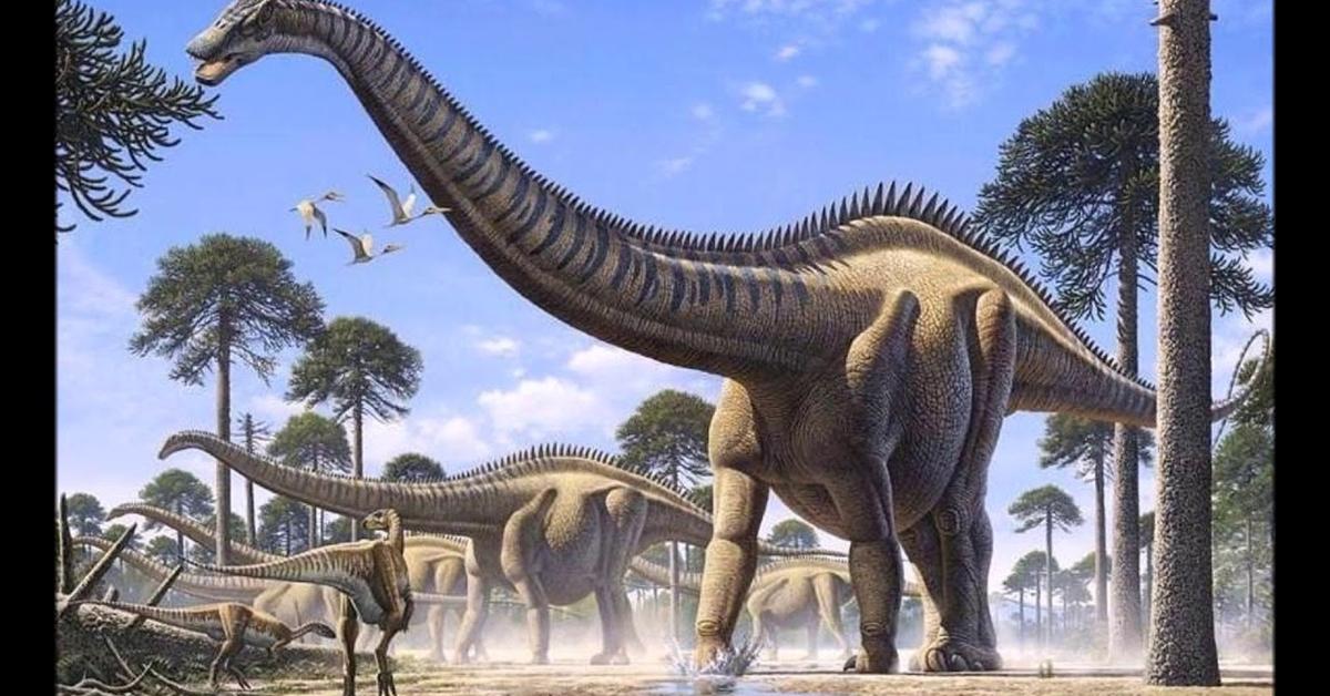 The elegant Sauropoda (Sauropoda), a marvel of nature.