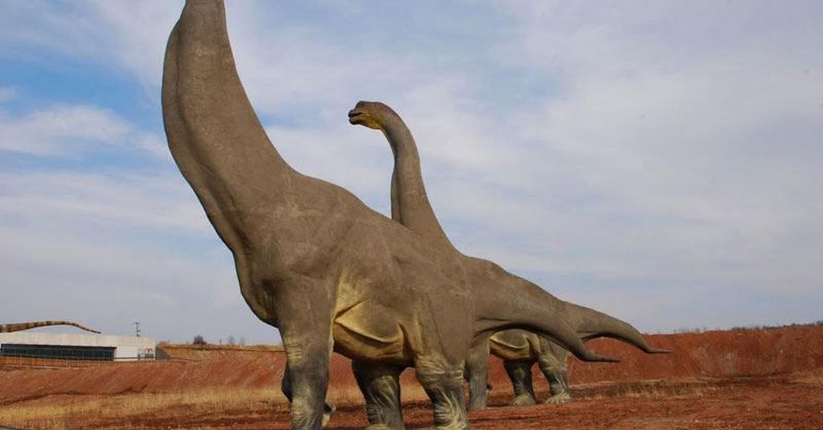 Sauropoda (Sauropoda) - Ensiklopedia Satwa