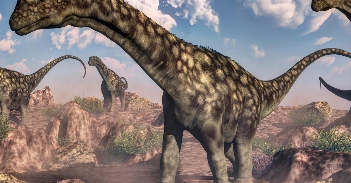 Insightful look at the Sauropoda, known to Indonesians as Sauropoda.