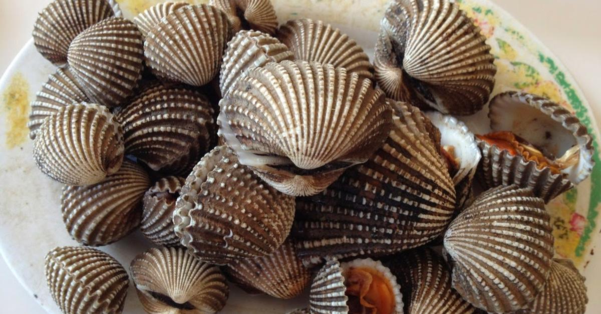 Detailed shot of the Scallops, or Pectinidae, in its natural setting.