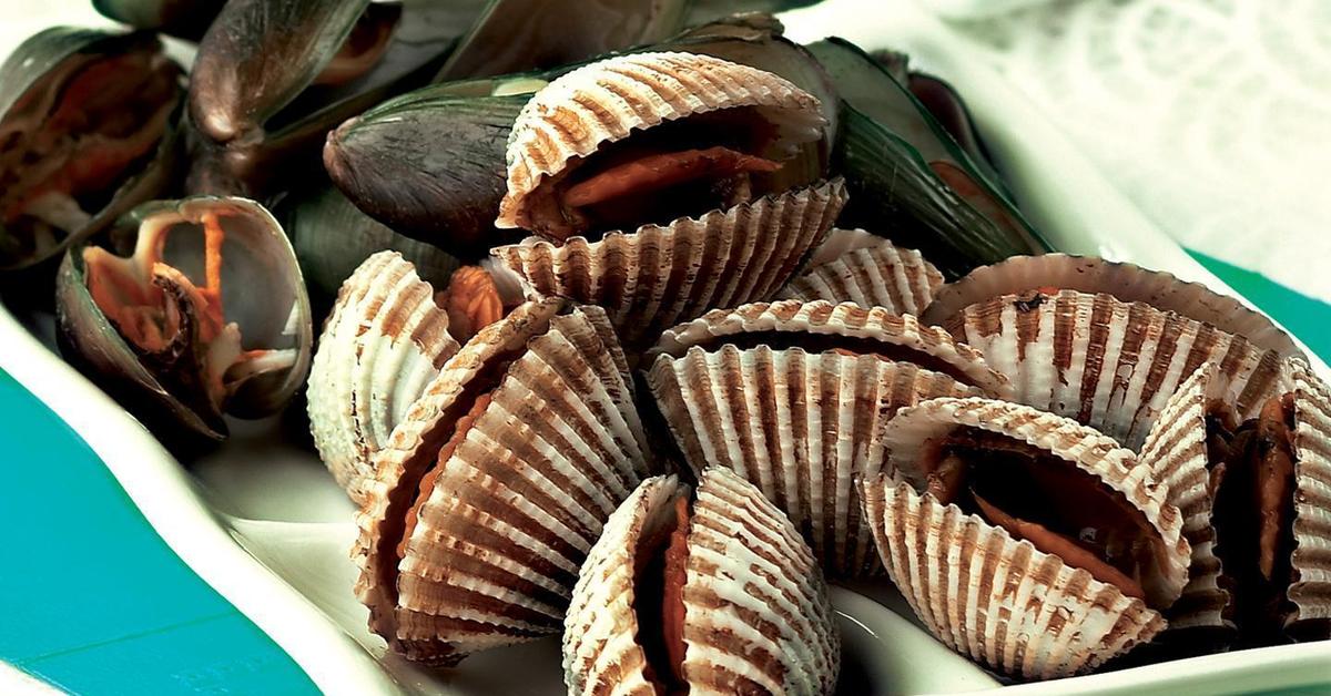 Vivid image of the Scallops, or Kerang in Indonesian context.