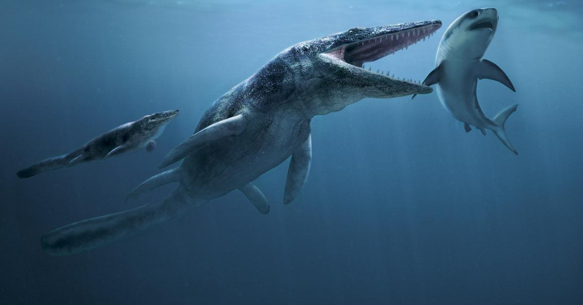 Close-up view of the Tylosaurus, known as Tylosaurus in Indonesian.