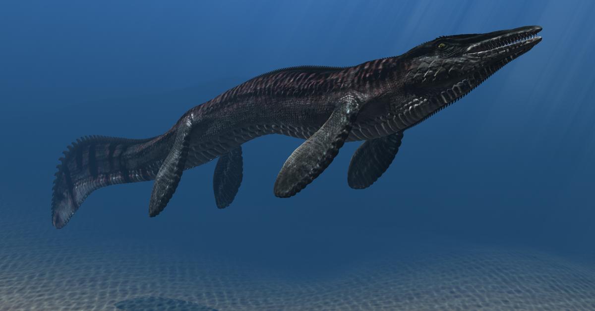 The remarkable Tylosaurus (Tylosaurus proriger), a sight to behold.