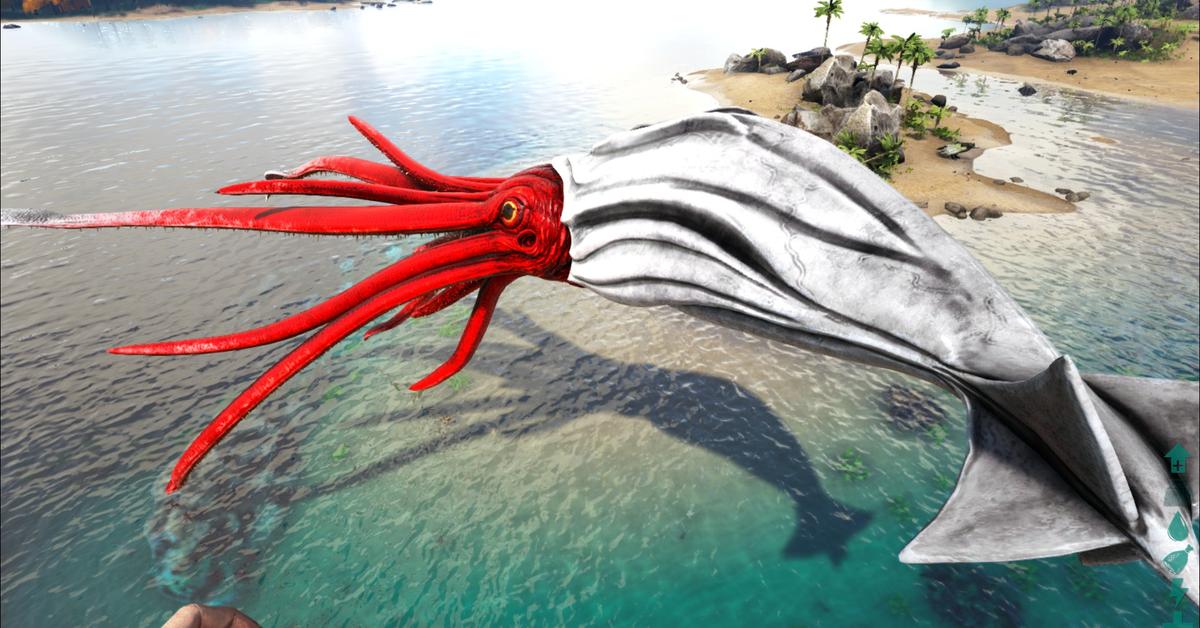 A look at the Tusoteuthis, also recognized as Tusoteuthis in Indonesian culture.