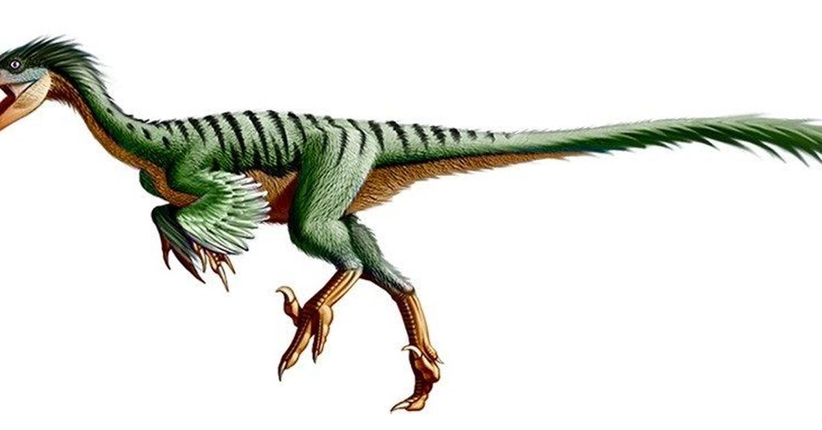 Iconic view of the Troodon, or Troodon formosus, in its habitat.