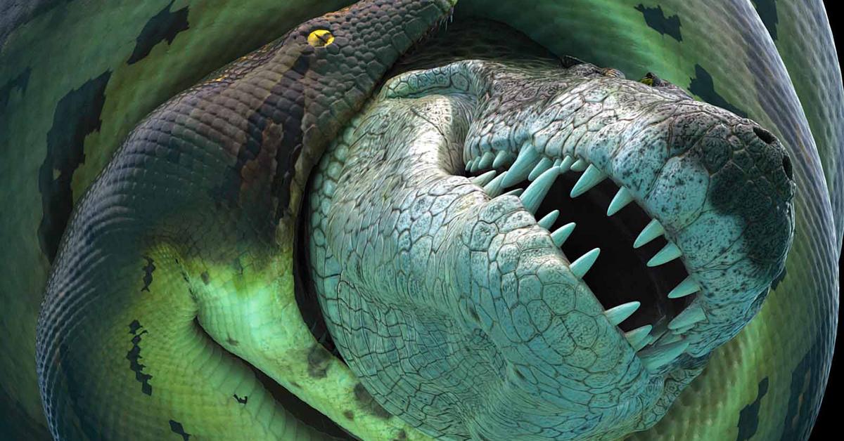 Dynamic image of the Titanoboa, popularly known in Indonesia as Titanoboa.