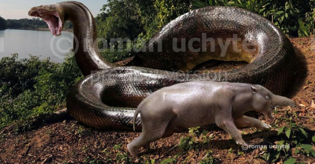 Visual representation of the Titanoboa, recognized in Indonesia as Titanoboa.