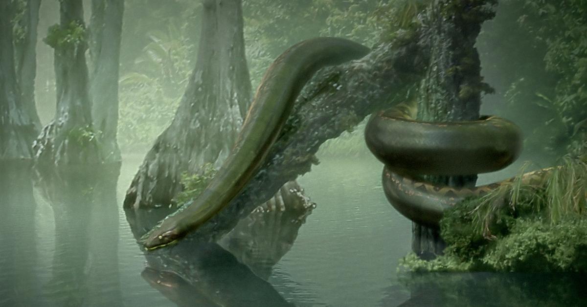 Visual representation of the Titanoboa, recognized in Indonesia as Titanoboa.