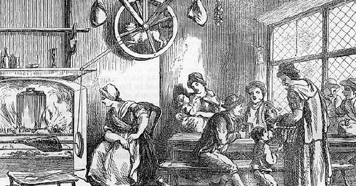 Portrait of a Turnspit, a creature known scientifically as Canis vertigus.