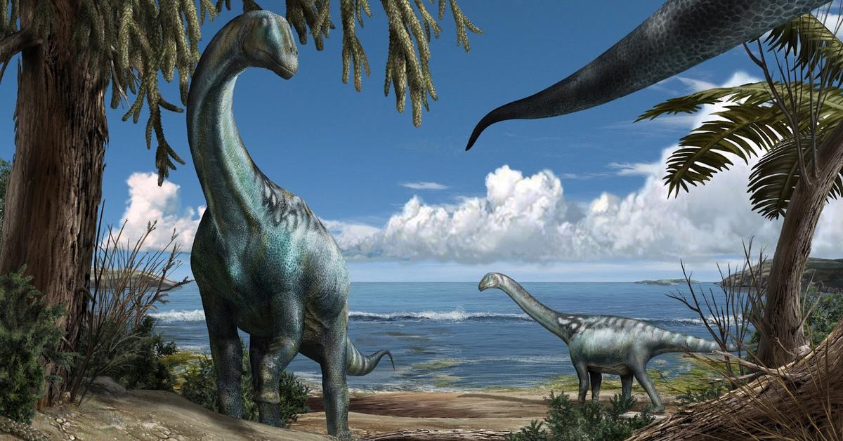 Picture of Titanosaur, known in Indonesia as Titanosaurus.