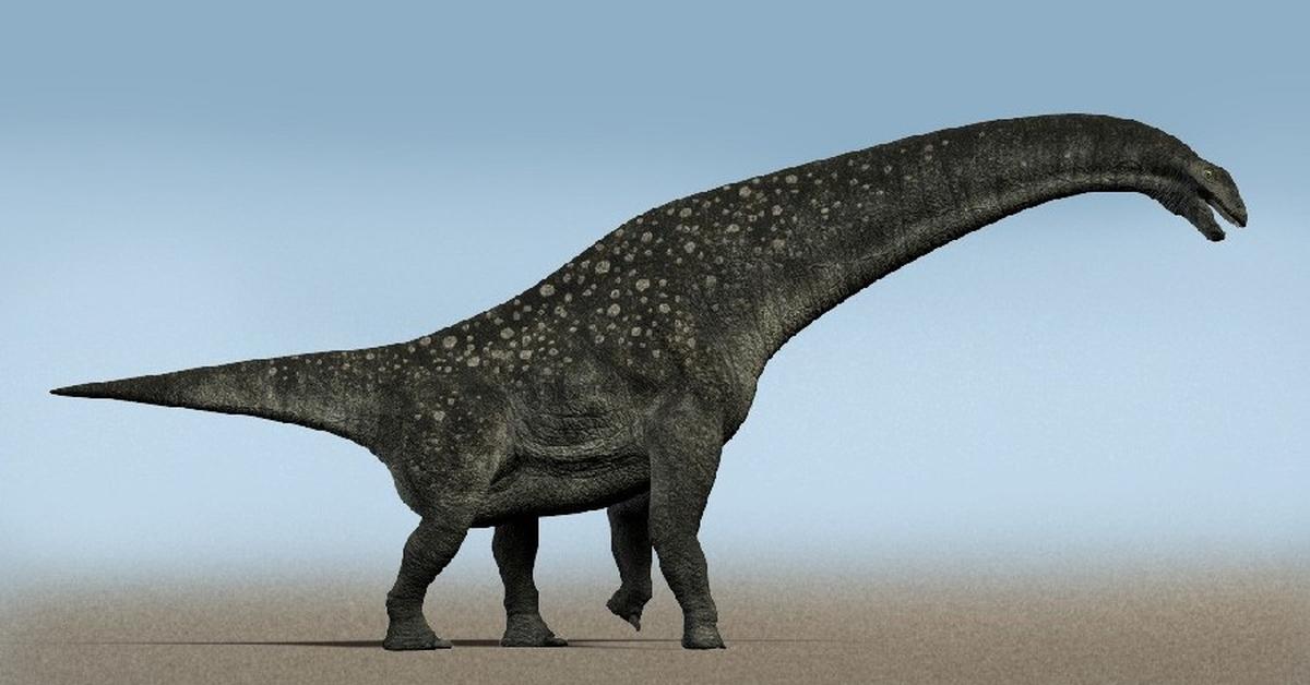 Enchanting Titanosaur, a species scientifically known as Titanosauria.