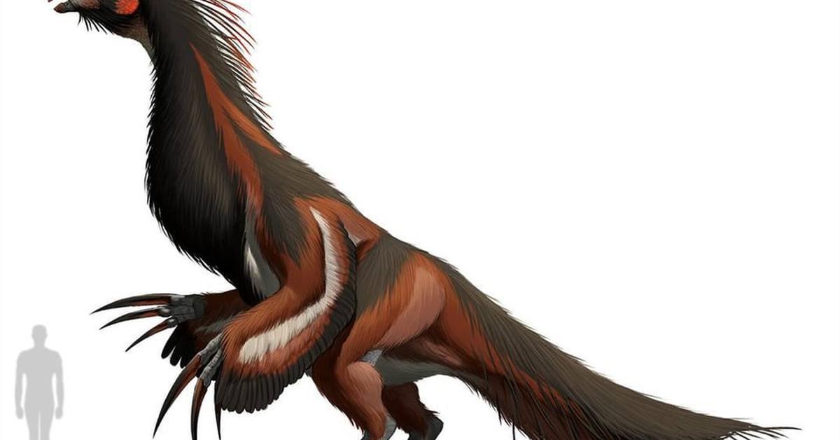 A beautiful representation of the Therizinosaurus, scientifically Therizinosaurus cheloniformis.